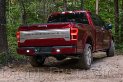 Diode Dynamics Stage Series Flush Mount Reverse Light Kit, C2 Pro DD7149