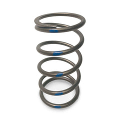 EVP TAPP Primary Clutch Springs