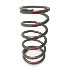 EVP TAPP Primary Clutch Springs