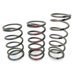 EVP TAPP Primary Clutch Springs