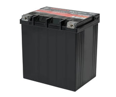 Odyssey Battery Powersport Extreme AGM Battery ODS-AGM30L