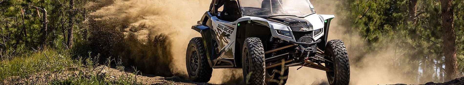 Artic Cat banner