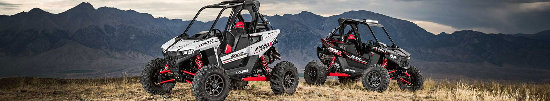 RZR RS1 banner